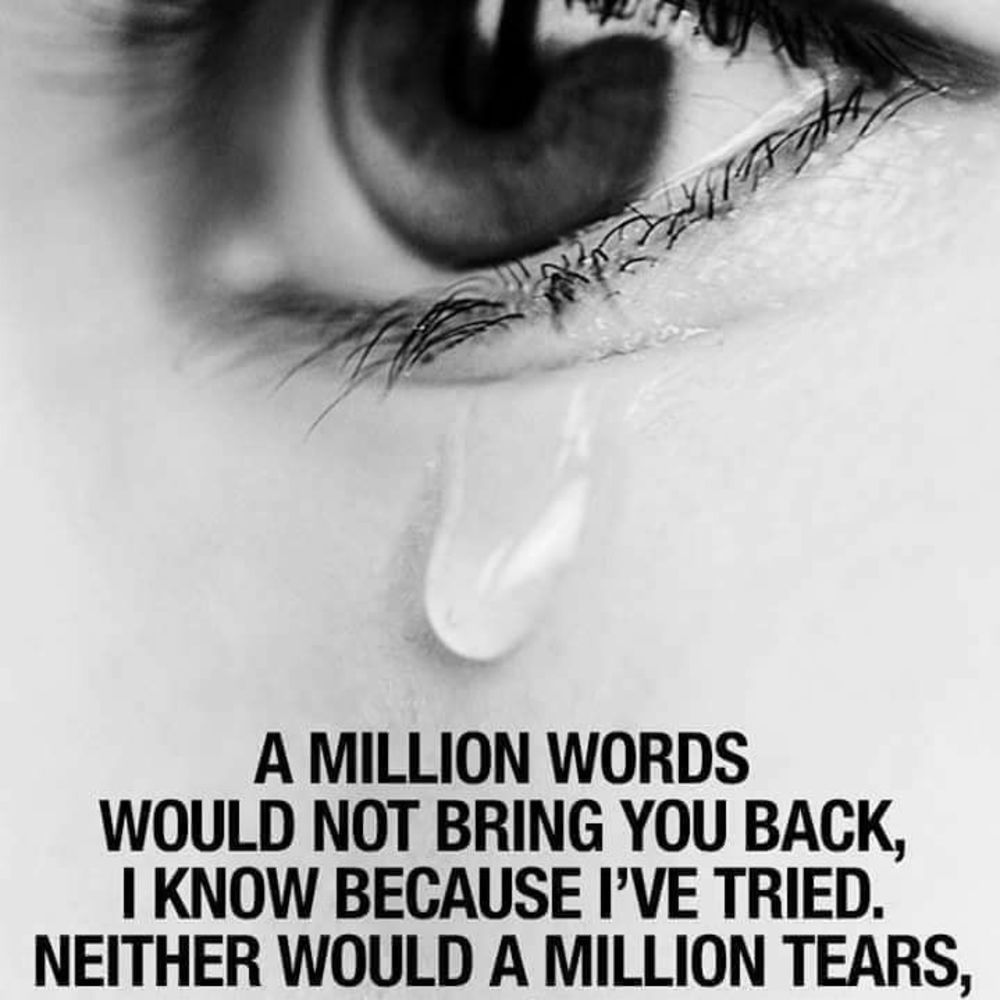 Meet your Posher, Rosa